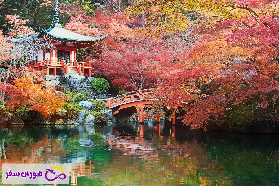 سفری شگفت انگیز به ژاپن