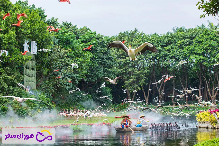 پارک پرندگان چایملانگ (Chimelong Birds Park)